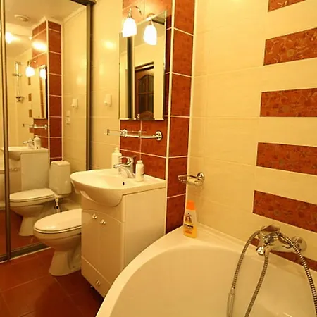 历史中心公寓 利沃夫